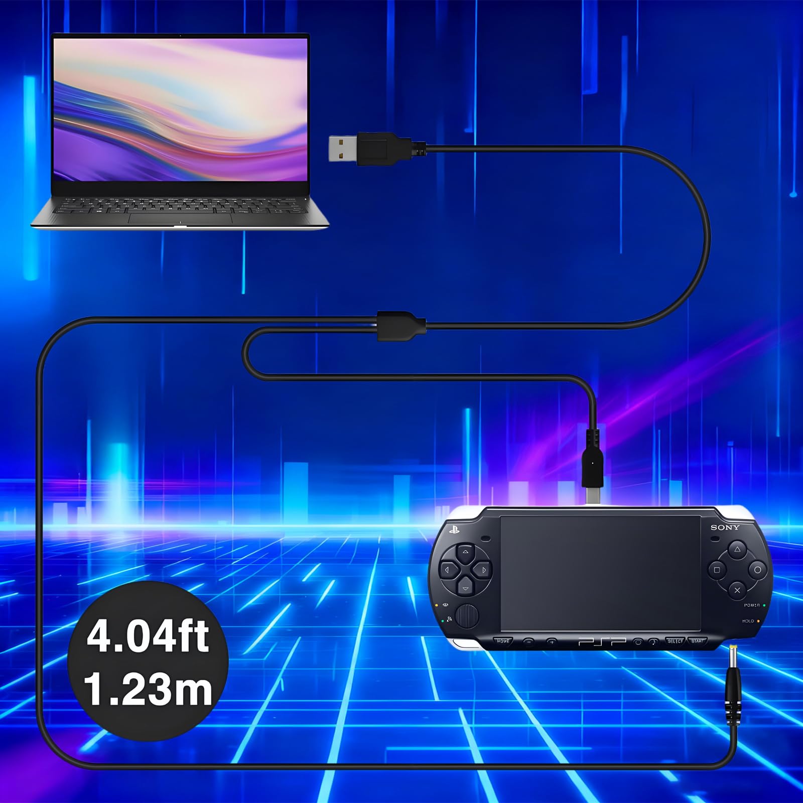 Amazon.com: Pickle Power PSP 3000/2000 Battery with PSP